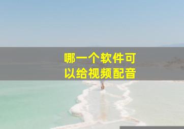 哪一个软件可以给视频配音