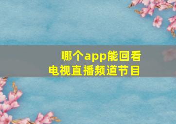 哪个app能回看电视直播频道节目