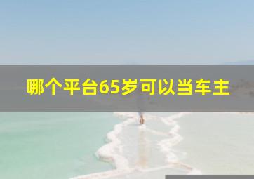 哪个平台65岁可以当车主