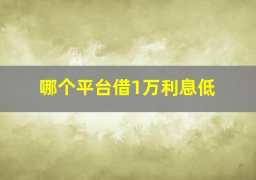 哪个平台借1万利息低