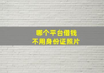 哪个平台借钱不用身份证照片