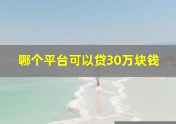 哪个平台可以贷30万块钱