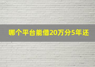 哪个平台能借20万分5年还