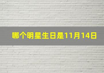 哪个明星生日是11月14日