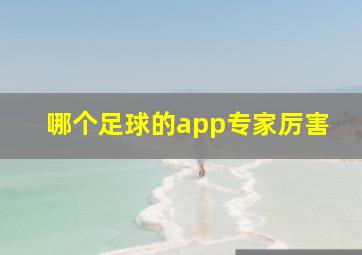 哪个足球的app专家厉害