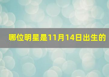 哪位明星是11月14日出生的