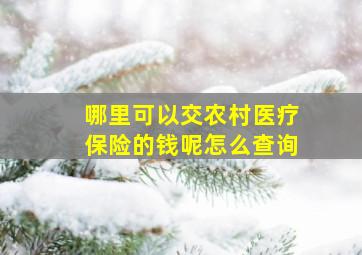 哪里可以交农村医疗保险的钱呢怎么查询