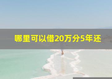 哪里可以借20万分5年还