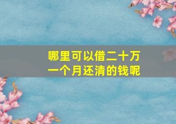 哪里可以借二十万一个月还清的钱呢