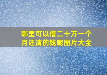 哪里可以借二十万一个月还清的钱呢图片大全