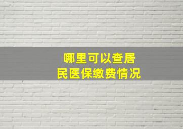 哪里可以查居民医保缴费情况