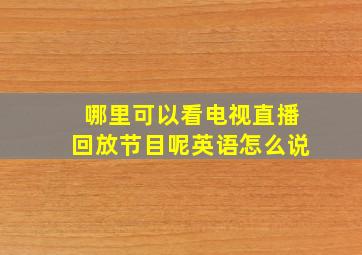 哪里可以看电视直播回放节目呢英语怎么说