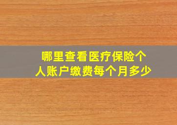 哪里查看医疗保险个人账户缴费每个月多少