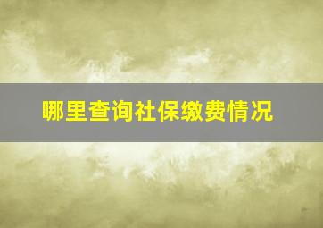 哪里查询社保缴费情况