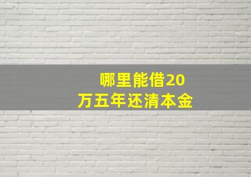 哪里能借20万五年还清本金