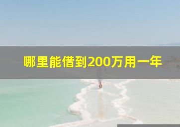 哪里能借到200万用一年