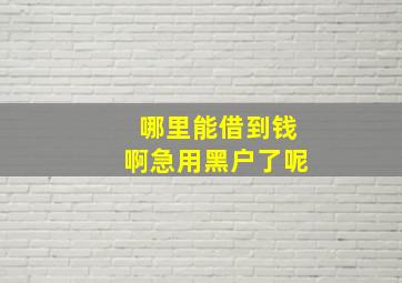 哪里能借到钱啊急用黑户了呢