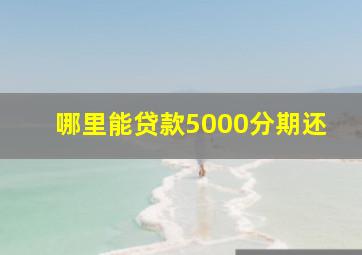 哪里能贷款5000分期还