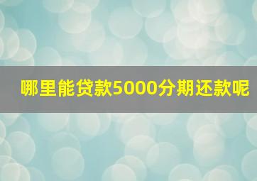 哪里能贷款5000分期还款呢