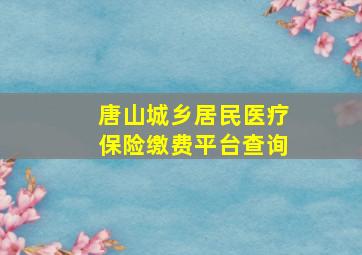 唐山城乡居民医疗保险缴费平台查询