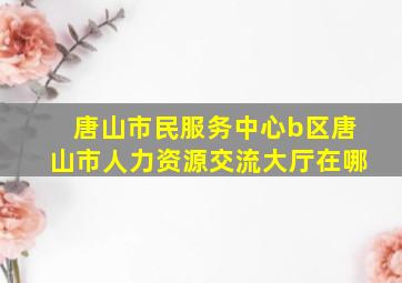 唐山市民服务中心b区唐山市人力资源交流大厅在哪