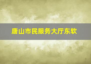 唐山市民服务大厅东软