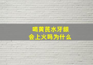 喝黄芪水牙龈会上火吗为什么