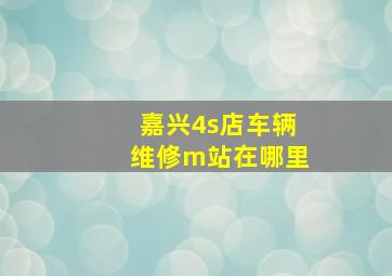 嘉兴4s店车辆维修m站在哪里