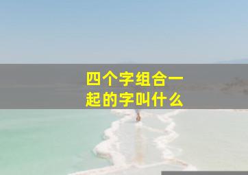 四个字组合一起的字叫什么