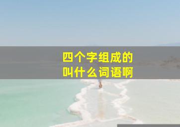 四个字组成的叫什么词语啊