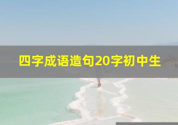 四字成语造句20字初中生