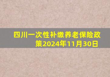 四川一次性补缴养老保险政策2024年11月30日