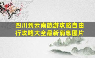 四川到云南旅游攻略自由行攻略大全最新消息图片