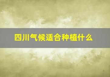 四川气候适合种植什么