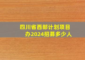 四川省西部计划项目办2024招募多少人