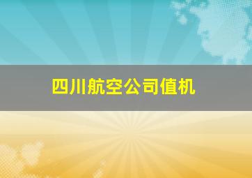 四川航空公司值机