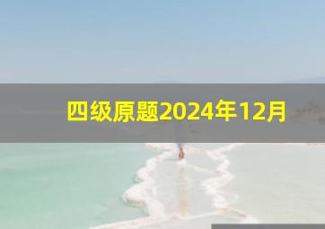 四级原题2024年12月