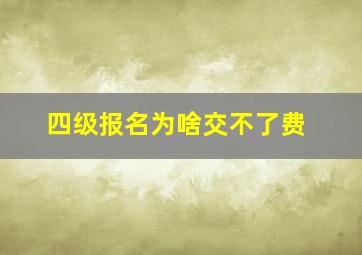 四级报名为啥交不了费