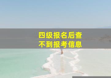 四级报名后查不到报考信息