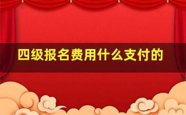 四级报名费用什么支付的