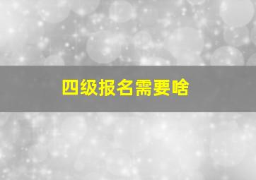 四级报名需要啥