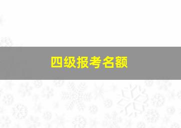 四级报考名额