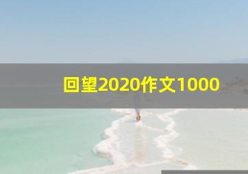 回望2020作文1000