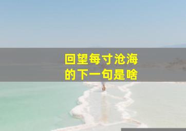 回望每寸沧海的下一句是啥