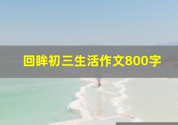 回眸初三生活作文800字