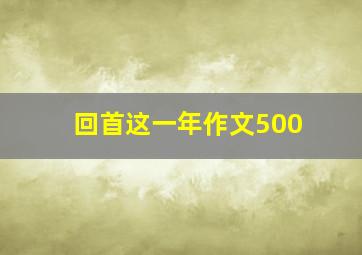 回首这一年作文500