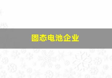 固态电池企业