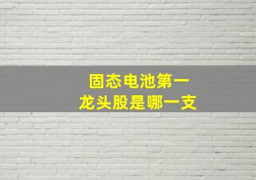 固态电池第一龙头股是哪一支