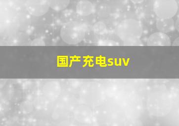 国产充电suv