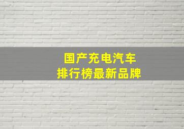 国产充电汽车排行榜最新品牌